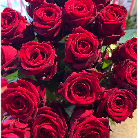 Miss RED ROSES No2